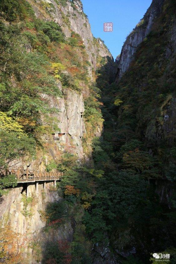 建鸡场 助增收
